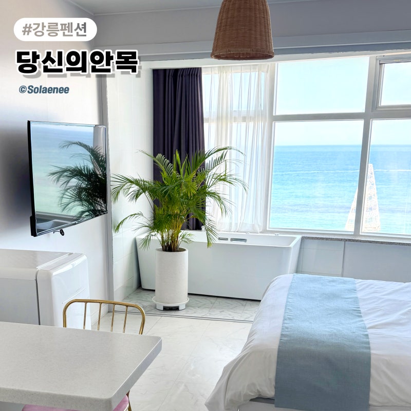 강릉 안목해변 숙소 당신의 안목 오션뷰 스파 펜션