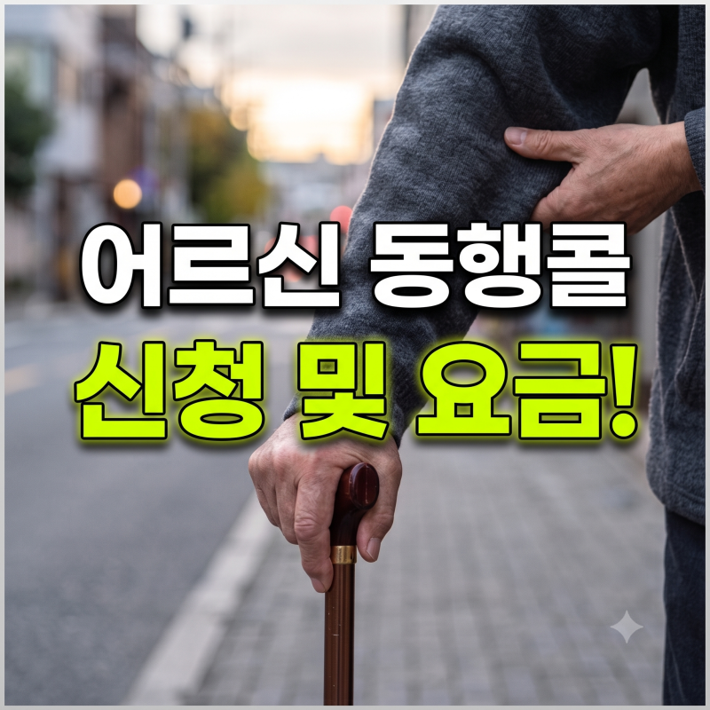 몇천원으로 진료부터 귀가까지? 120 어르신동행콜 지원신청방법및 이용요금 총정리