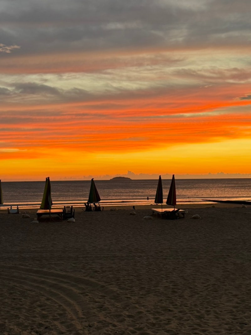 [Taean Pet-Friendly 2-Day Trip] Taean Travel with Dogs / Taean Pet-Friendly Pension / Taean Pet-Friendly Cafe