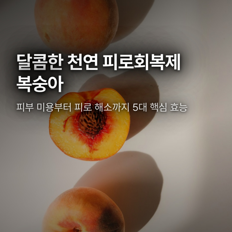 복숭아 효능 5가지와 부작용, 당뇨 환자도 안심하고 먹는 법