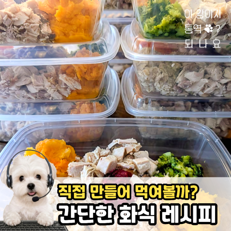강아지 화식 만들기, "수제간식" 전문가가 알려주는 닭가슴살 기본 레시피
