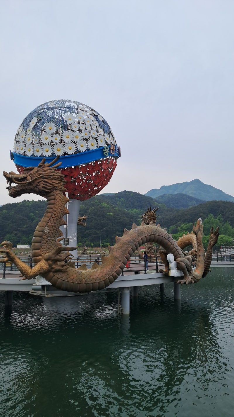 병원 입장에서 금융리스, 운용리스, B2B렌탈의 장단점...