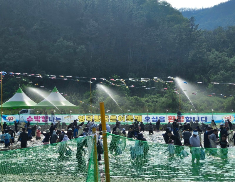 [영덕] 여름휴가 2박 3일 여행② :: 황금은어축제/영덕대게센타 42호/고택스테이 언곡재