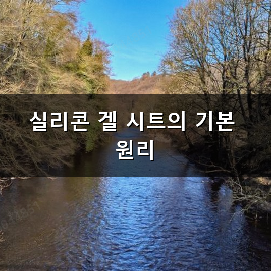 시카 케어 흉터 관리 흉터 시트 올바른 사용법