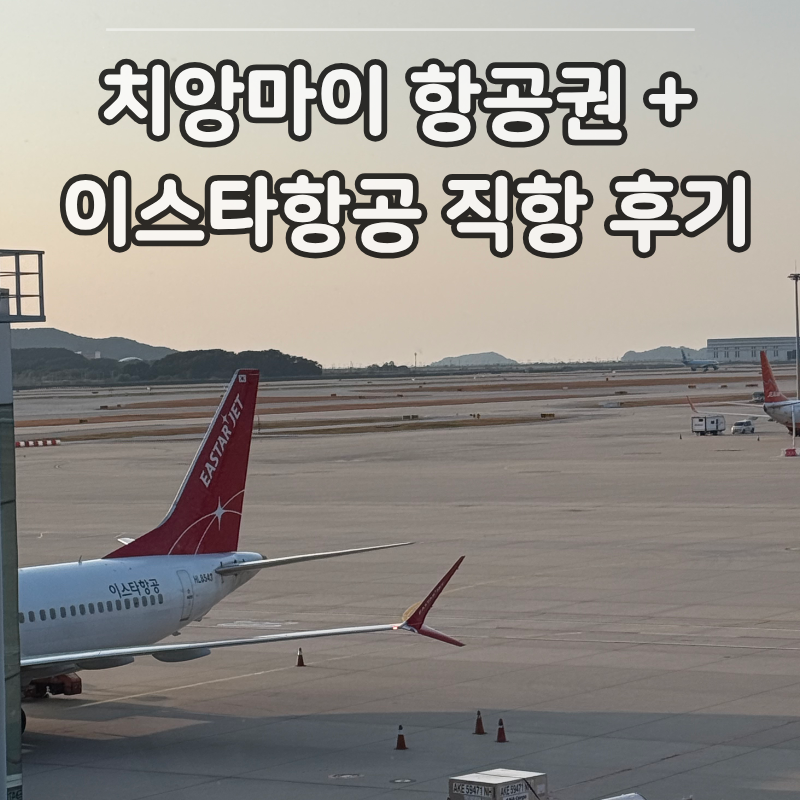 치앙마이 항공권 최저가 찾는 법 + 이스타항공 직항 후기