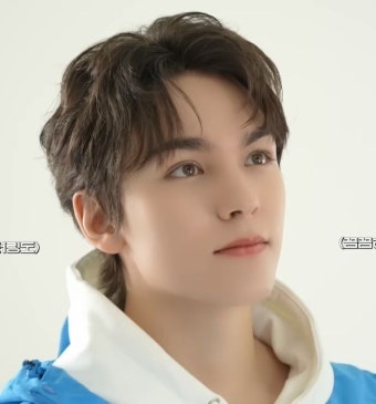 세븐틴 버논, 오늘부터 잠시 안녕