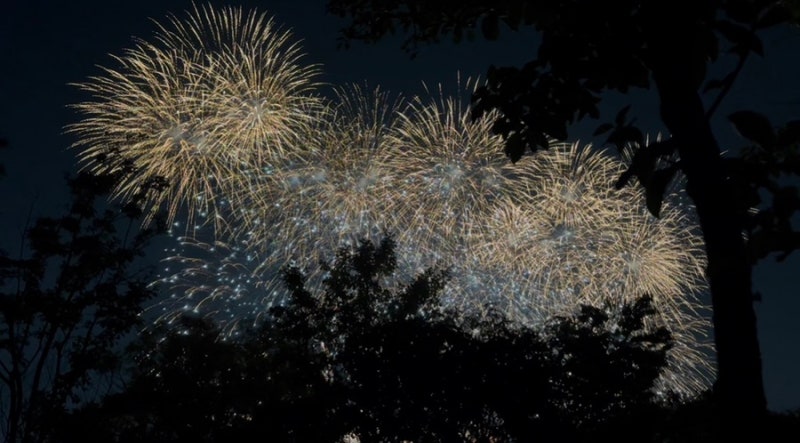 2026 서울세계불꽃축제 여의도 한강공원 직접 관람 후기 & 교통통제 정보