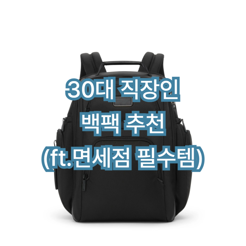 30대 직장인 백팩 추천 투미 TUMI 알파 브리프 팩 내 돈 내산 후기