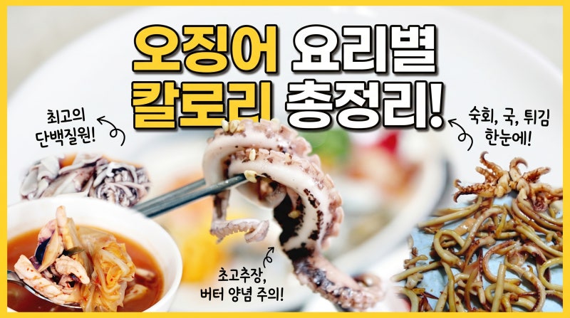 오징어 칼로리와 영양 성분! 숙회·국·튀김·버터구이 다이어트 식단 총정리
