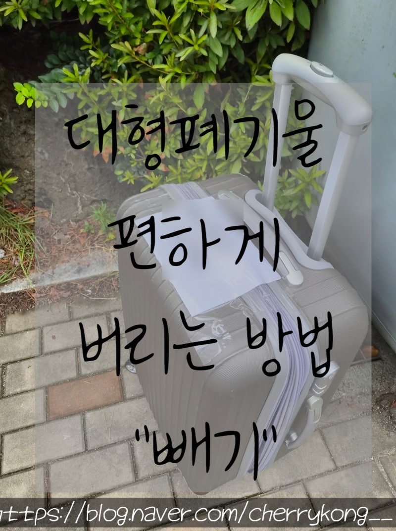 충남 서산시 대형폐기물 버리는 방법 빼기 앱으로 여행용 캐리어 버리기 직접배출 신청 후기