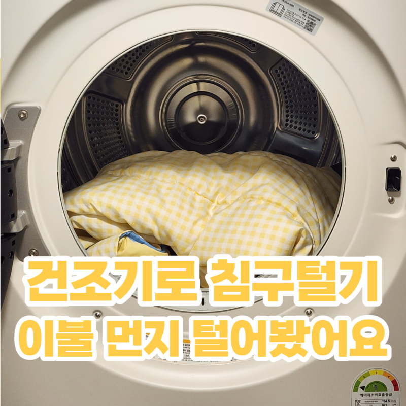 LG 건조기 침구털기 사용법 이불 세탁 없이 먼지 털어내는 방법