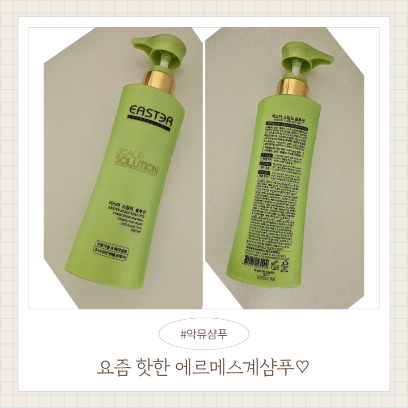 지루성두피염샴푸 이스터스칼프솔루션 500ml 직접 사용해본 후기