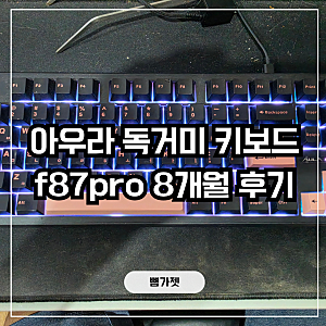 "한 때 대란이 었던 이 키보드" 아우라 독거미 키보드 f87pro 8개월 후기