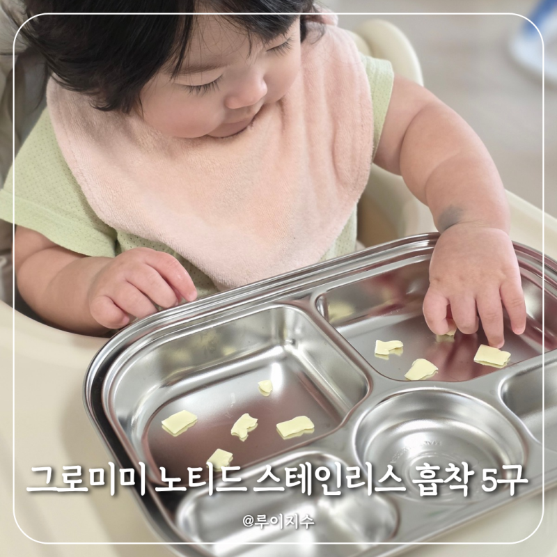 그로미미 돌아기 식판 고민 해결 노티드 스테인리스 흡착 5구 후기