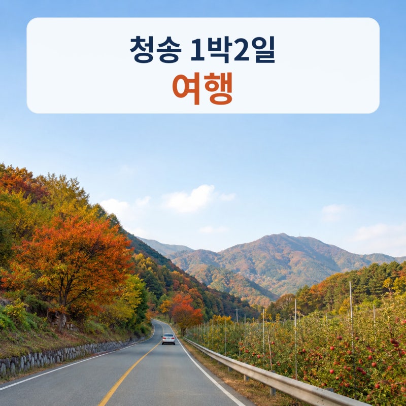 청송 1박2일 여행코스, 사과축제·주왕산·주산지 이렇게 나누세요