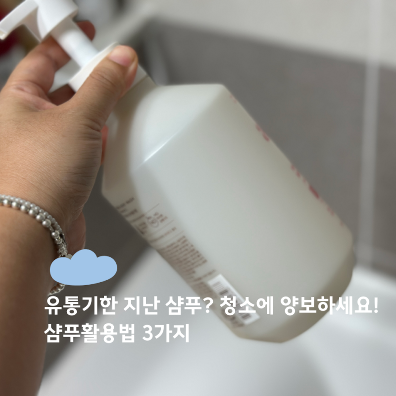 버릴 때마다 아까웠던 오래된 샴푸 활용 꿀팁 BEST3, 청소에 양보해야 하는 이유