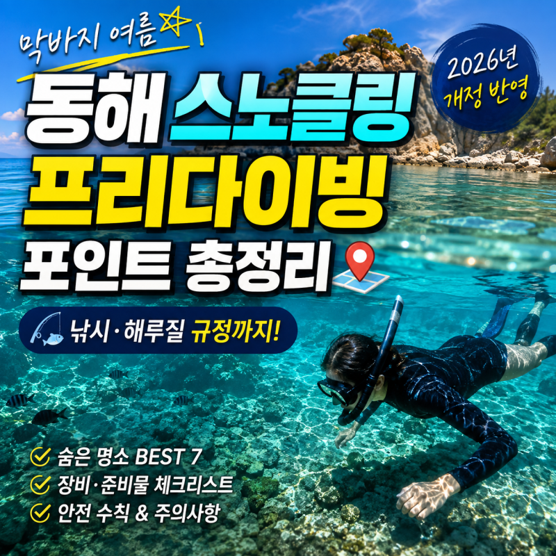막바지 여름 동해 스노클링·프리다이빙 포인트 총정리 | 낚시·해루질 규정까지 (2026년 개정 ....