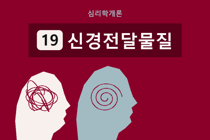 심리학개론 - 19 뉴런과 신경전달물질 도파민 세로토닌 하는 일