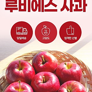 루비에스 미니 한입 꼬마 사과 500g 7-12과 내외