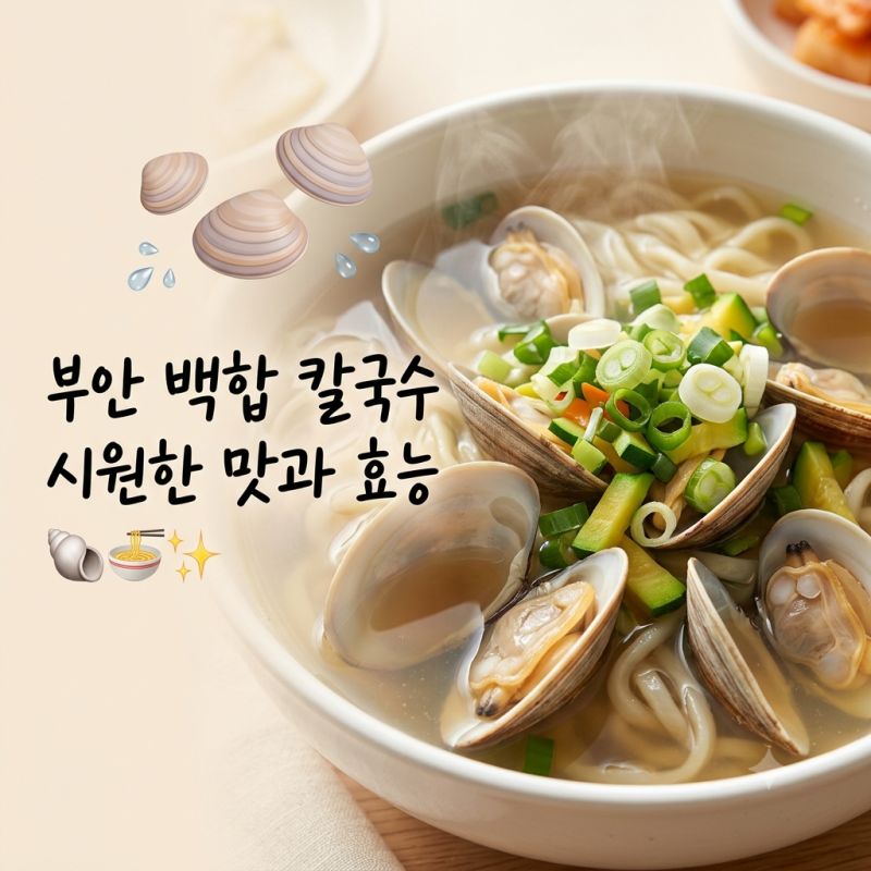 백합조개 칼국수 효능, 부안 백합조개의 영양과 맛있게 먹는 법