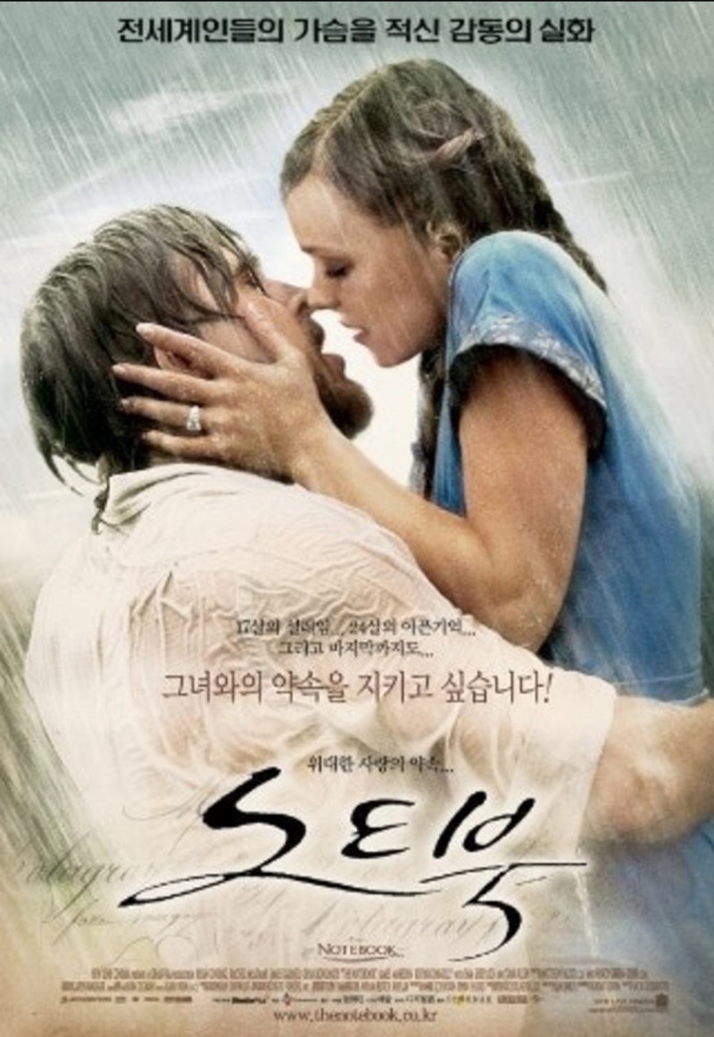 [실화 영화 추천] 영화 노트북 결말 후기! 신조차 질투한 가장 아름다운 실제 첫사랑 이야기