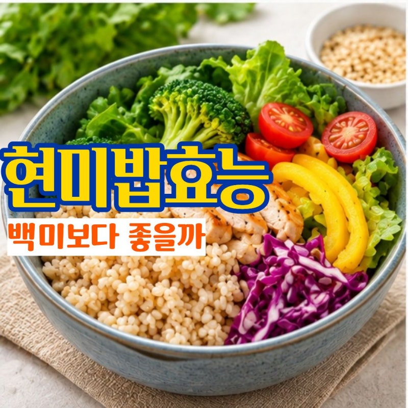 현미밥효능 다이어트 식단에 찾는 현미밥 칼로리 및 부작용