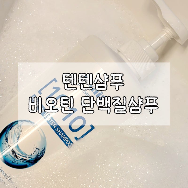 순한 지성샴푸 추천 어웨잇 텐텐샴푸 비오틴 단백질샴푸 맥주효모샴푸 사용 후기