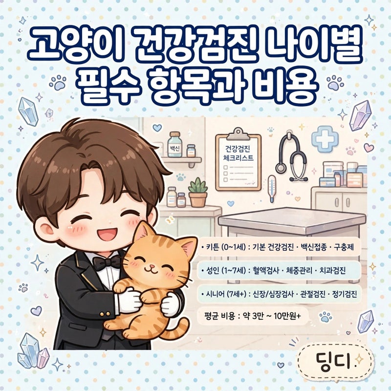 고양이 건강검진 나이별 필수 항목과 비용