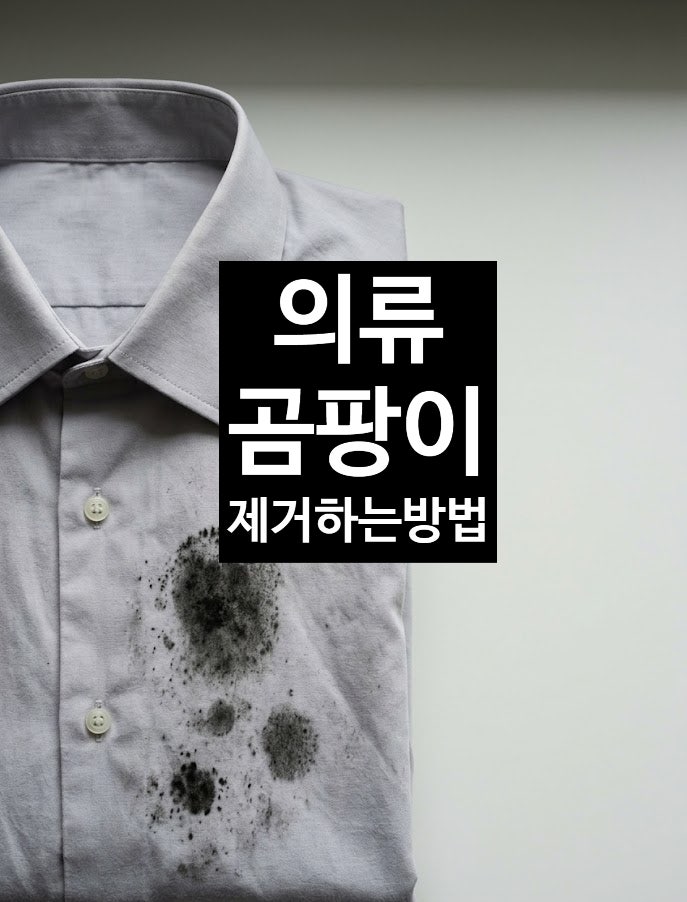 옷 곰팡이 제거, 세탁기 직행은 금물! 색깔 옷도 안전하게 지우는 확실한 순서