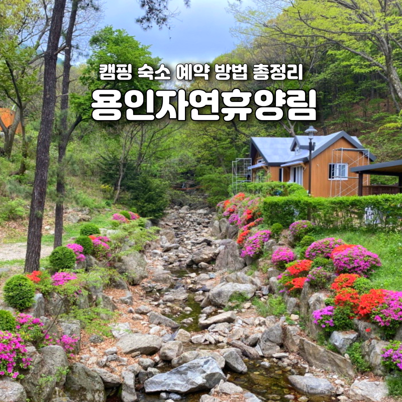 용인자연휴양림 캠핑 숙소 예약 방법 총정리