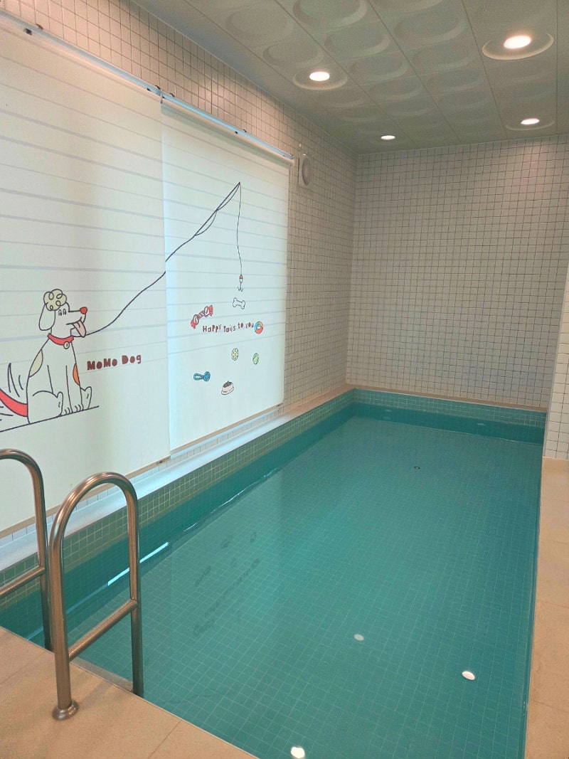 서울인근 실내온수풀 애견동반펜션 가평 모모애견풀빌라｜강아지 실내수영장 펜션