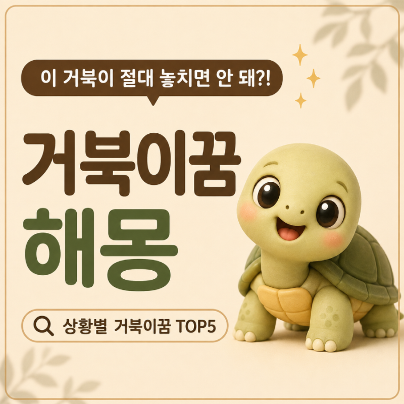 거북이가 집에 들어오면 돈 들어온다고? 큰 거북이꿈해몽 TOP5
