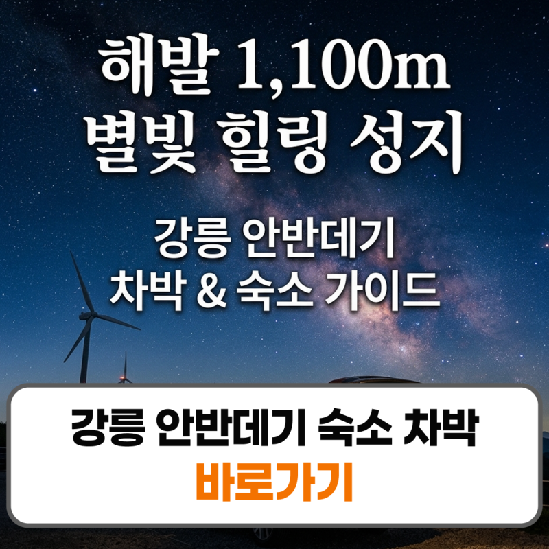강릉 안반데기 숙소 차박 추천 관광공원
