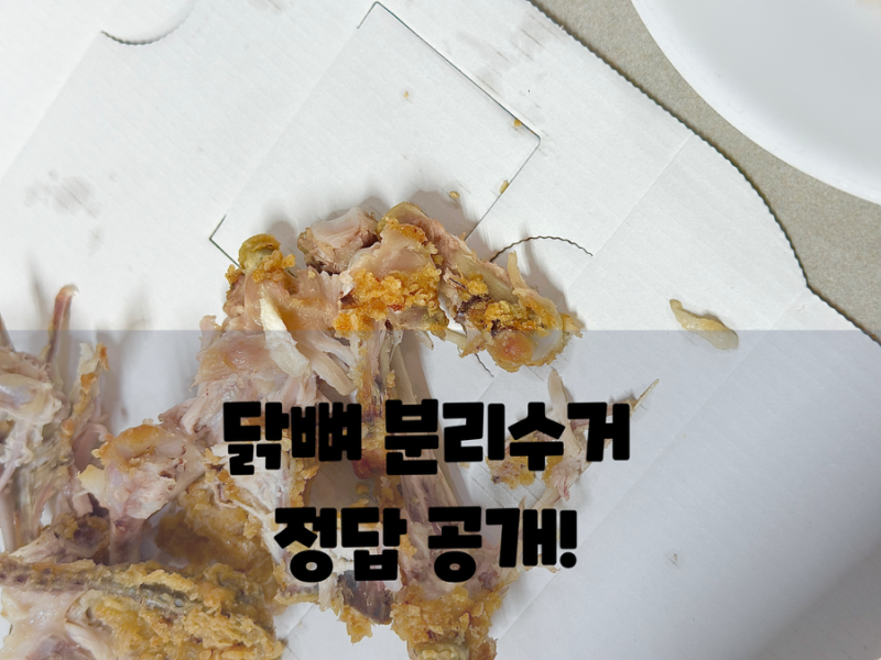 닭뼈 분리수거 정답 공개! 음식물 쓰레기 버리는법 총정리