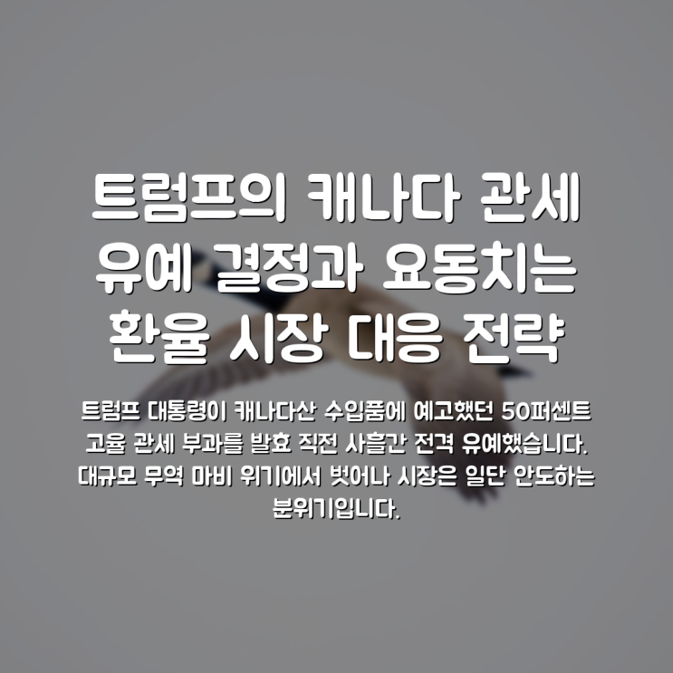 <b>트럼프</b>의 <b>캐나다 관세</b> 유예 결정과 요동치는 환율 시장 대응 전략