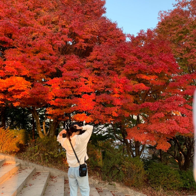 경주 여행지 불국사 단풍 구경 입장료 주차 관람