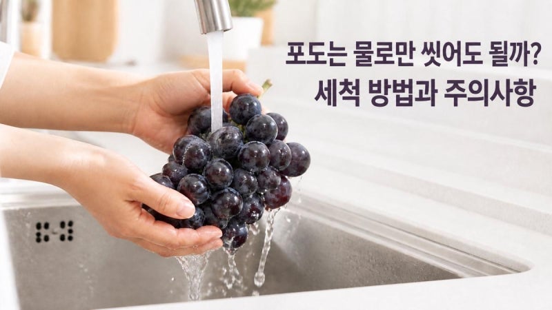 포도는 물로만 씻어도 될까? 세척 방법과 주의사항