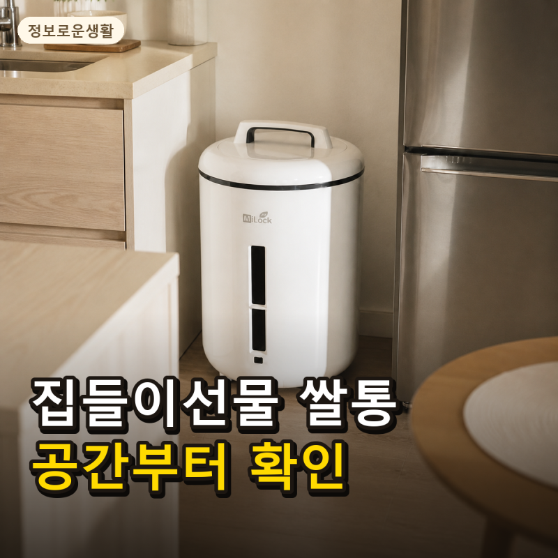 신혼 집들이선물 쌀항아리 대신 진공 쌀보관통 고를 때 체크할 것