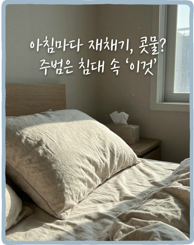 집먼지진드기 완전퇴치 가이드 – 침구·소파·카펫 관리법 총정리