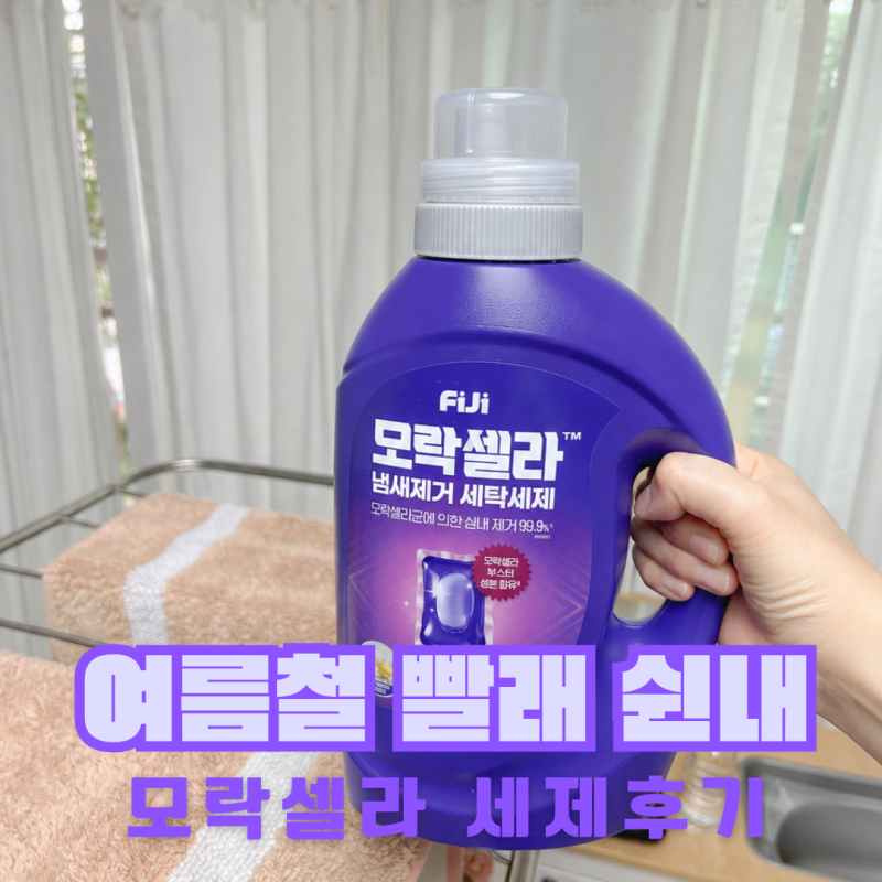 모락셀라 세제 빨래 쉰내 제거 방법 여름철 냄새 원인까지