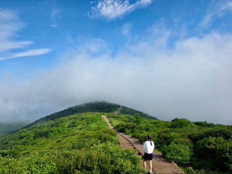 지리산 노고단 성삼재에서 정상까지 가는 시간•주차•날씨•주차비•예약 방법 |직접 다녀....
