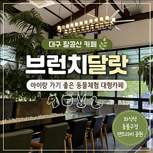대구 팔공산 대형카페 베이커리 브런치달랏 아이랑 동물체험까지