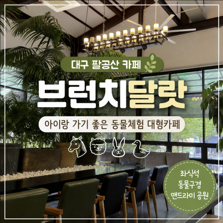 대구 팔공산 대형카페 베이커리 브런치달랏 아이랑 동물체험까지