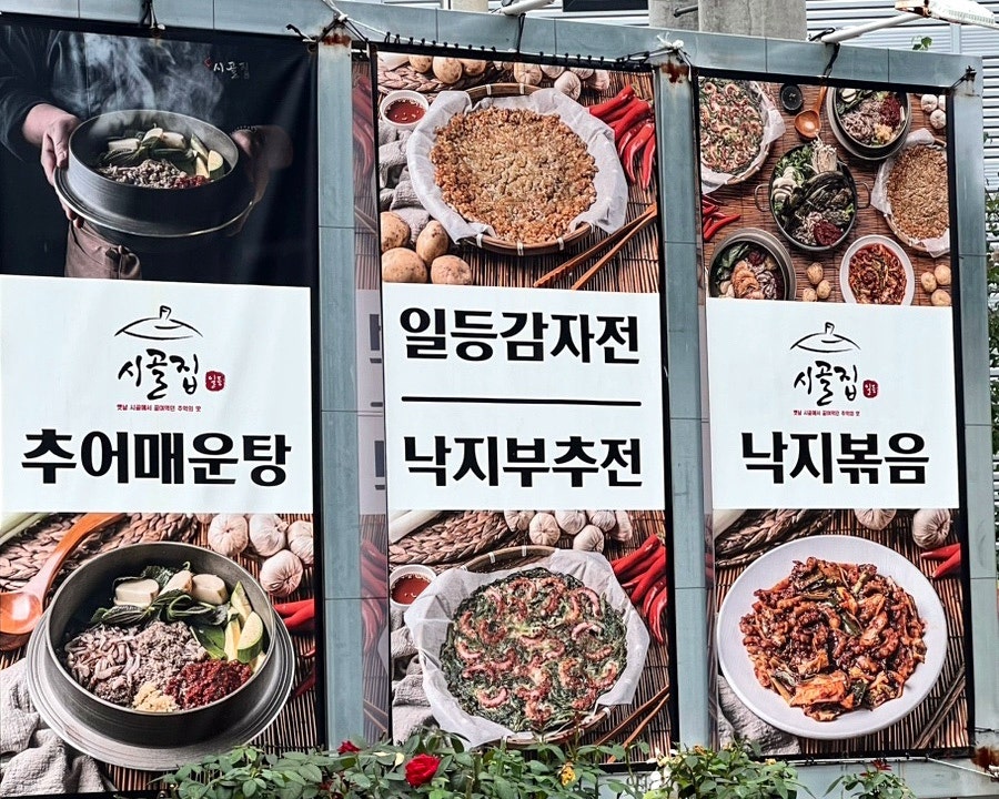 리본 사진 1