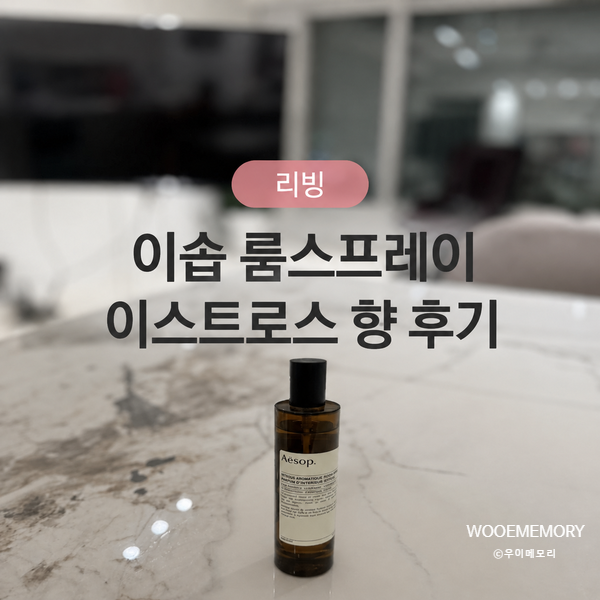 이솝 룸스프레이 이스트로스 향 후기｜지속력과 잔향, 집들이 선물로 좋은 이유