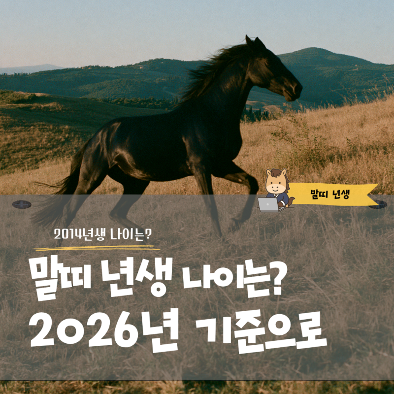 말띠 년생 2026년 기준 출생연도 나이 정리