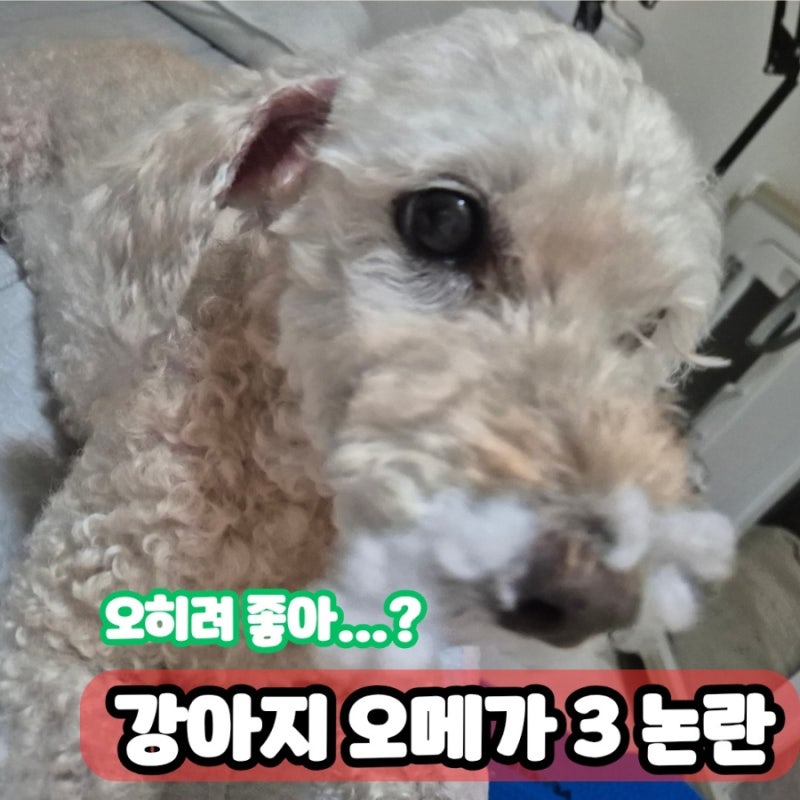 물 탄 오메가 3 논란에도 오히려 구매한 이유 | 유효기간 임박 영양제 먹이고 있었네요