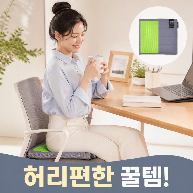 나연 방석으로 소문난 밸런스온 기능성 프리미엄시트 L 허리 편한 사무실 의자방석 추천