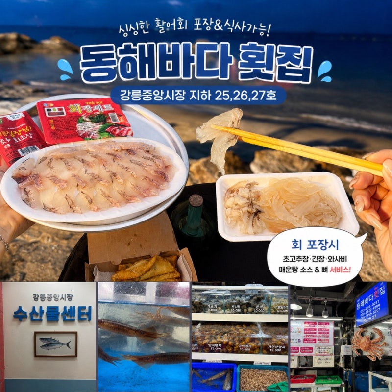 강릉중앙시장맛집 회포장 동해바다횟집 오징어회 + 우럭