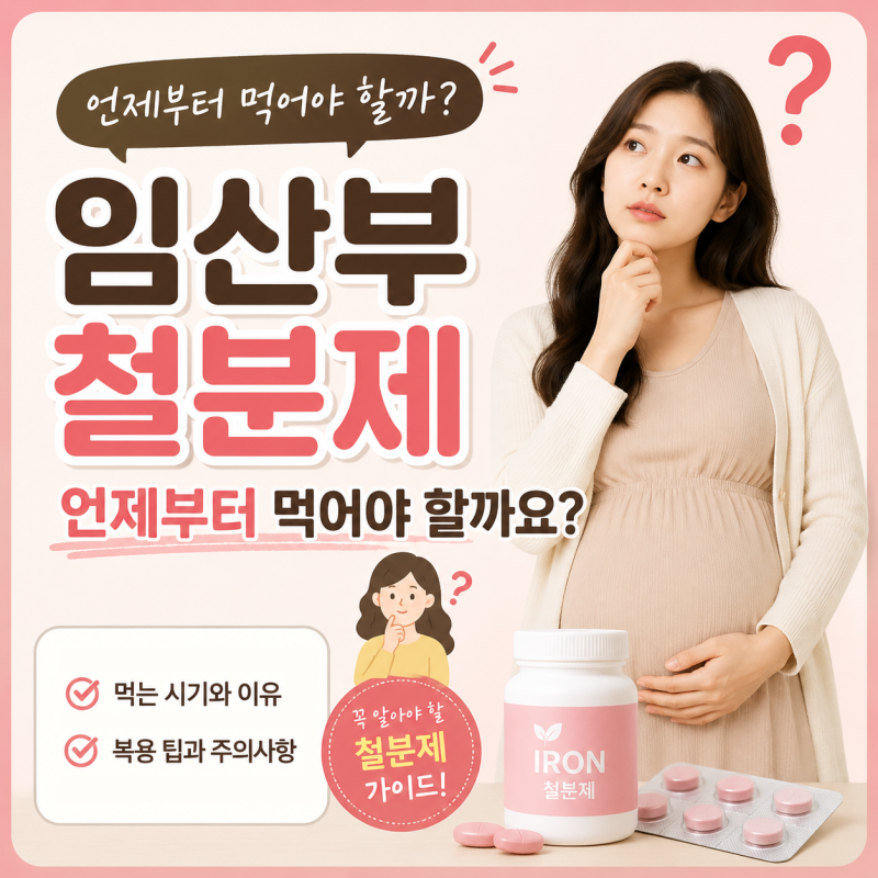 임산부 영양제 필수! 계속 피곤한 이유가 철분 부족? 철분제 복용시기